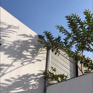 Meet your Posher, Naureen